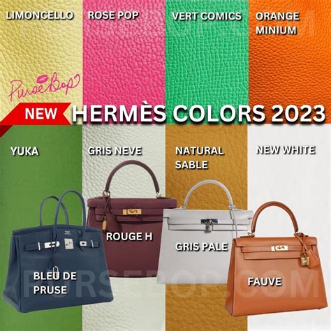 divine hermes color|hermes color guide.